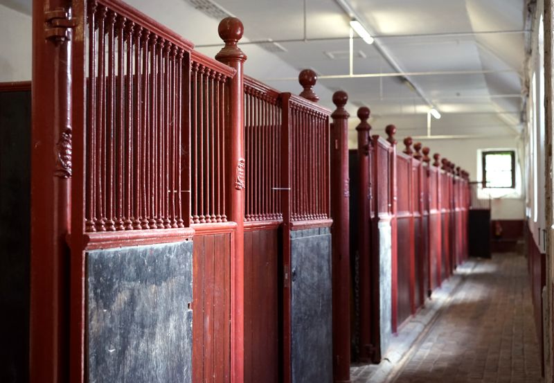 Horse Enclosure Installation